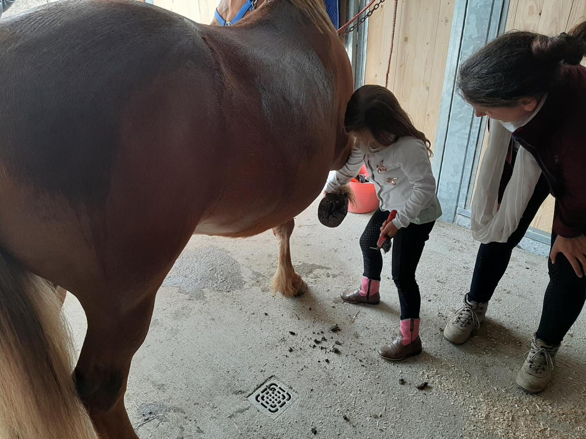 Familien- Und Apartmenthotel Lerchenberghof Walddorf  Dış mekan fotoğraf