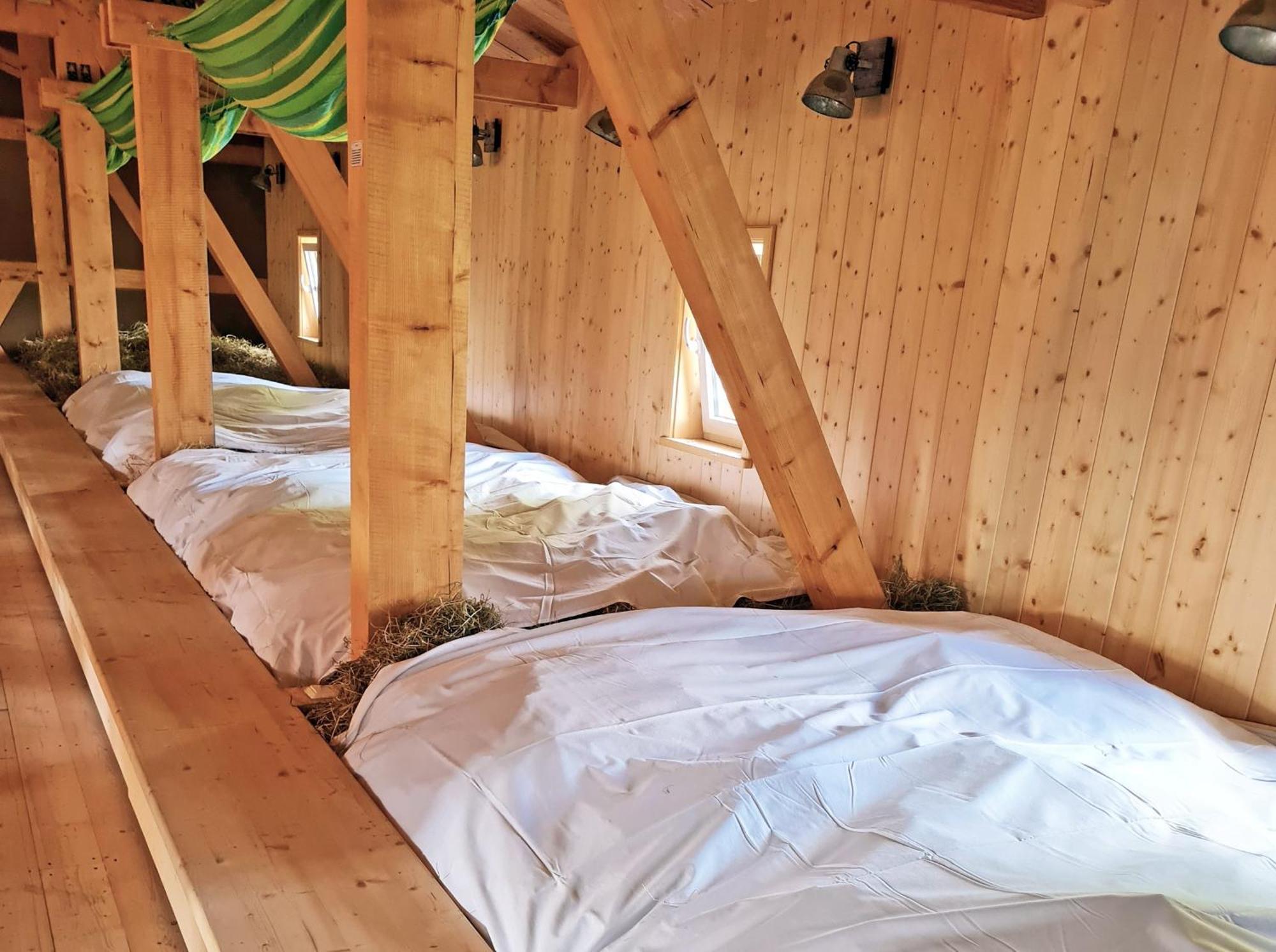 Familien- Und Apartmenthotel Lerchenberghof Walddorf  Oda fotoğraf
